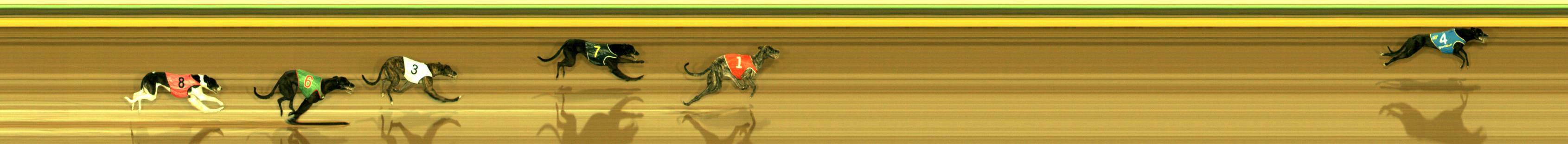 Race result finish photo